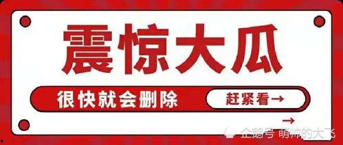 娱乐吃瓜八卦模板,当红明星背后的惊人真相，吃瓜群众必看！